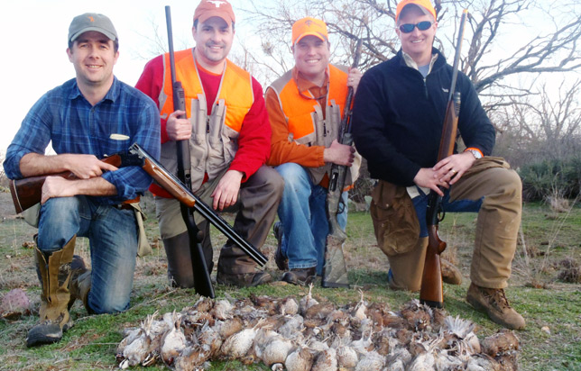 four Texas hunters with quail 