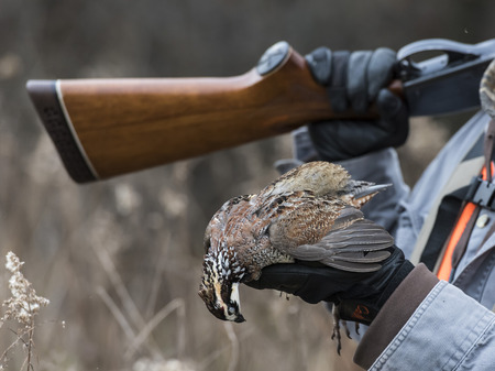 a hunter with a bobwhite quail
