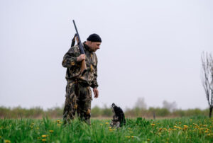 How to Successfully Hunt Quail
