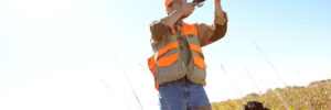 Man, dog and rifle in outdoor for hunting, monitor park and search for danger together in nature. Mature person, pet animal and hunter helper in field to guide in woods, mockup and tracking team.