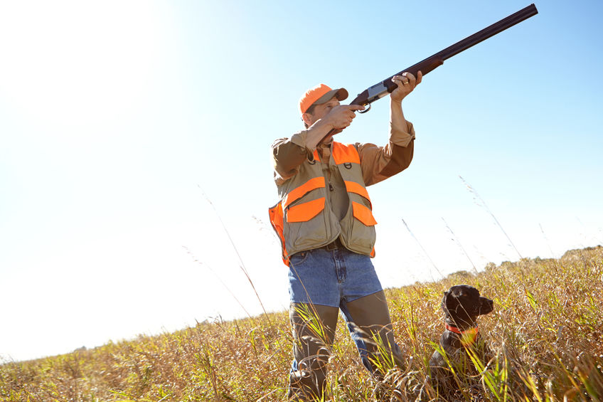 Man, dog and rifle in outdoor for hunting, monitor park and search for danger together in nature. Mature person, pet animal and hunter helper in field to guide in woods, mockup and tracking team.
