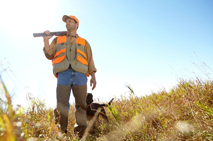 Man, dog and bush for hunting hobby, shotgun practice and stalking prey together in nature. Mature person, pet animal and hunter support in field to guide on mockup, thinking and outdoor tracking.